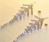 Brinco espinha de peixe com strass